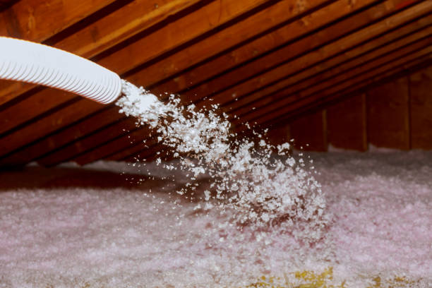 Types of Insulation We Offer in Dandridge, TN