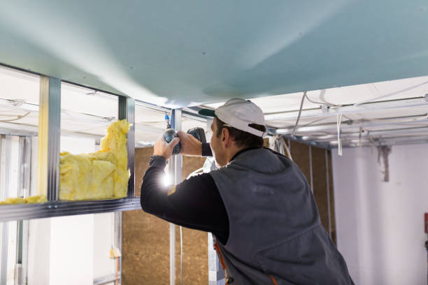 Best Specialized Insulation Services in Dandridge, TN