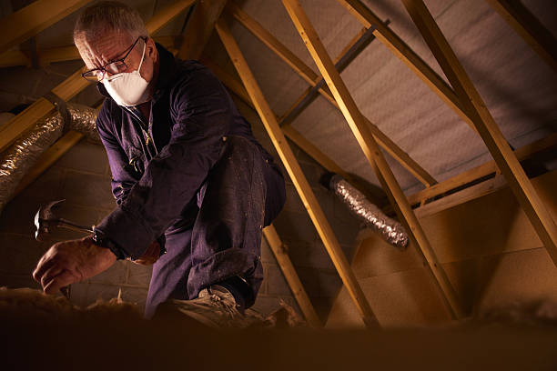 Best Fiberglass Insulation in Dandridge, TN