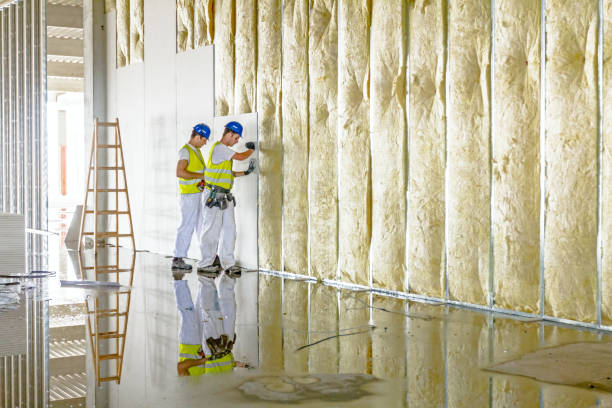 Trusted Dandridge, TN Insulation Contractor Experts